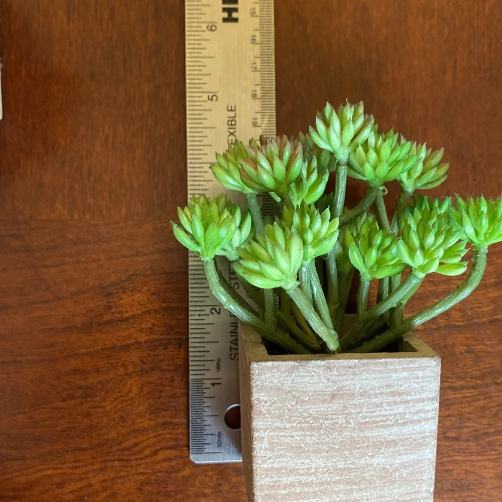 Faux Succulents set of two. EUC